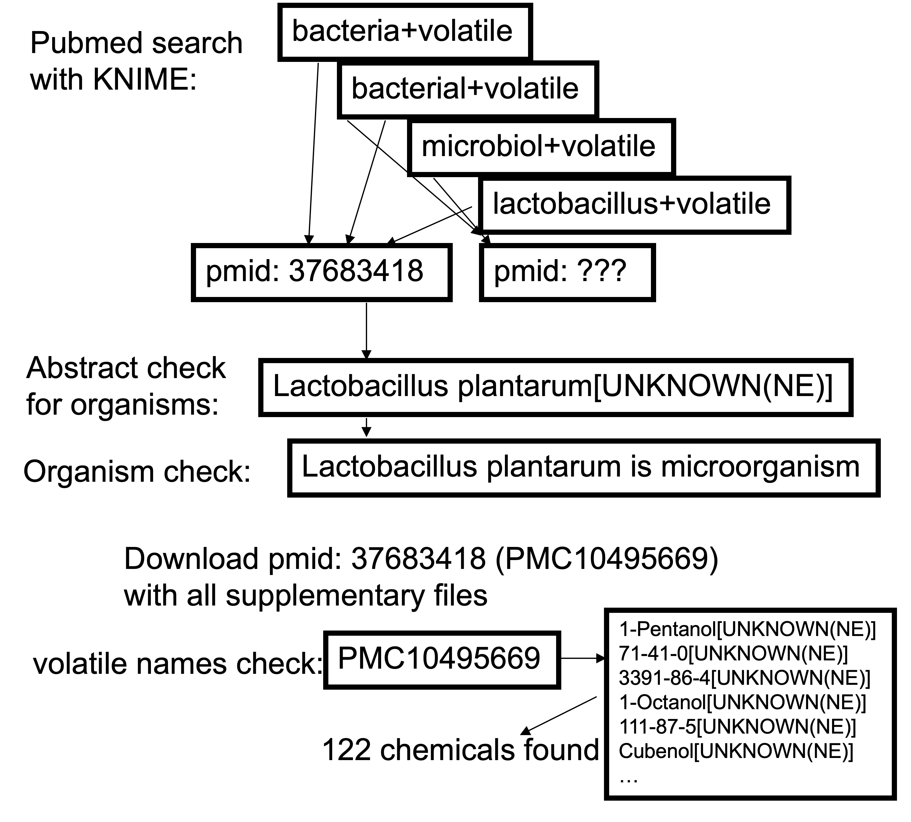 example data curation